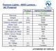 Product specifications table for NightSearcher festoon lights with 6600 lumens, AC powered.