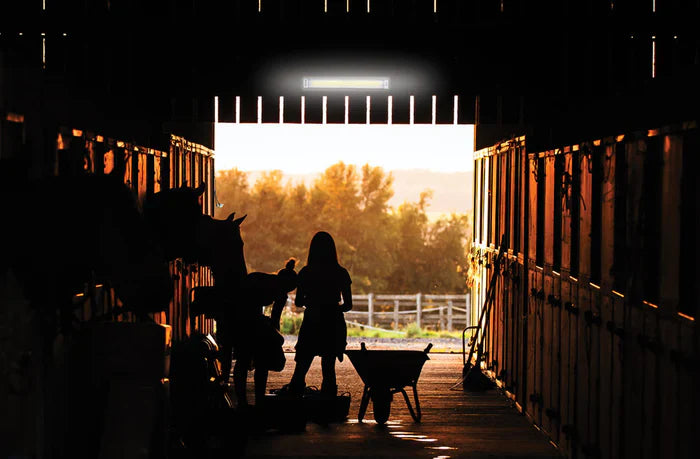 NexSun 2500RC White Linear Solar light  in use