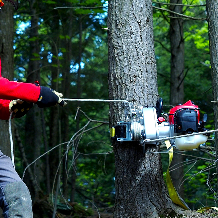 Portable Winch PCW4500 Petrol Pulling Winch with 2-Stroke Engine in use felling a tree from CableDrumJacks