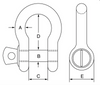 GT Blue Pin Grade 6 Bow Shackles with Screw Collar Pin