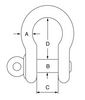 Stainless Steel Load Rated Screw Collar Pin Bow Shackle