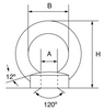 Stainless Steel Load Rated Eyenut - AISI 316